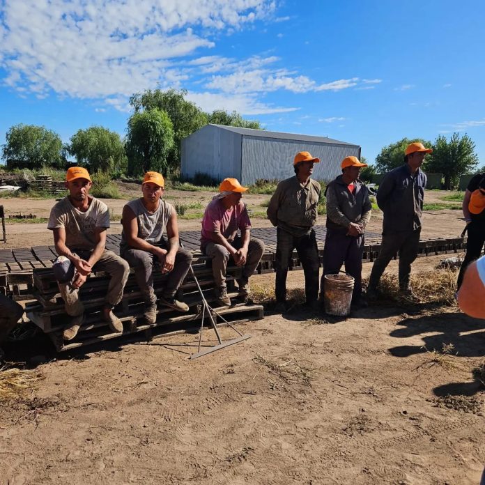 Imagen de WhatsApp 2024-03-07 a las 20.25.31_a9c976f5