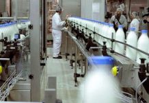 UGT FICA alcanza un preacuerdo en la negociación del convenio de Industrias Lácteas y sus Derivados