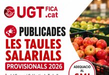 Taules Salarials provisionals 2026 del Conveni Col·lectiu de Treball de Recaptació, Emmagatzematge, Manipulació i Venda de Fruites i Verdures de la província de Lleida